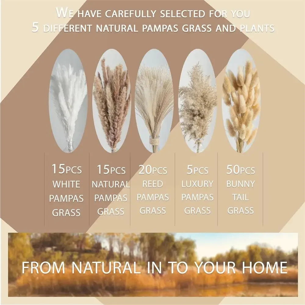 105pcs Natural Dried Flowers Pampas Floral Bouquet Country Home Decoratior Arrangement