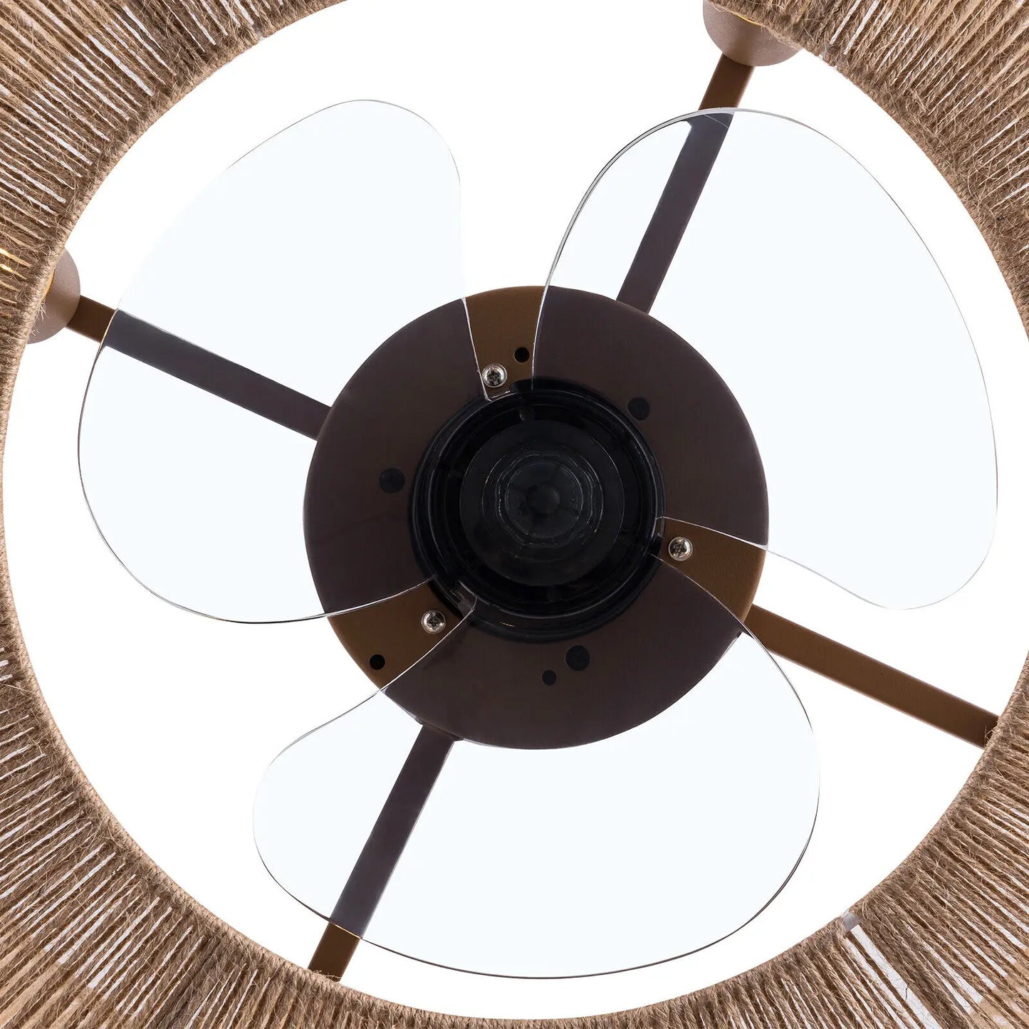 Caged Ceiling Fan Light
