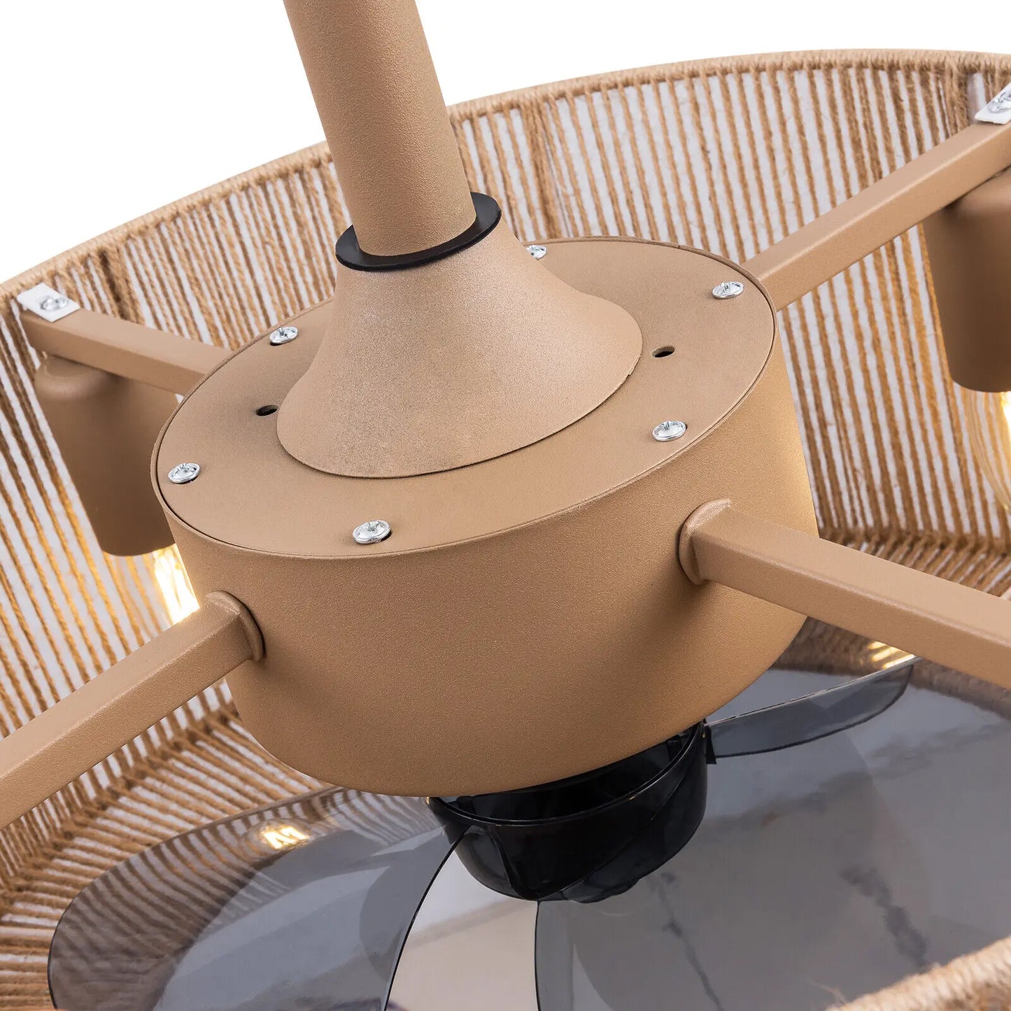 Caged Ceiling Fan Light