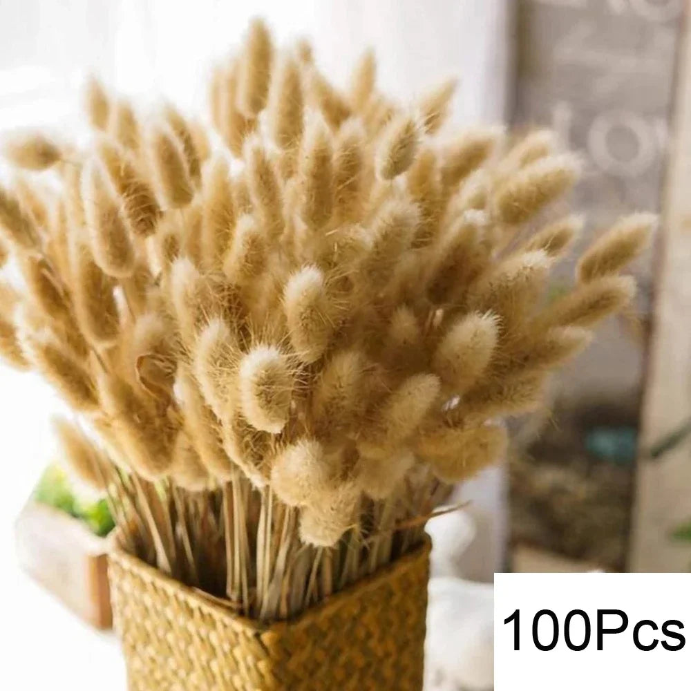 105pcs Natural Dried Flowers Pampas Floral Bouquet  Country Home Decoratior Arrangement